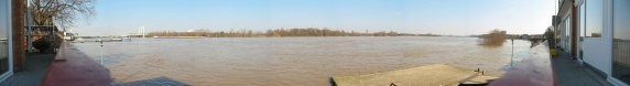 Rhein bei Hochwasser